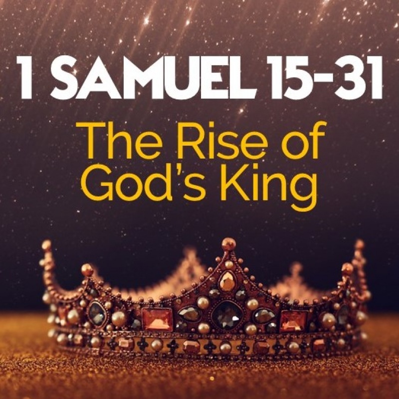 1 Samuel 15 31 SQUARE