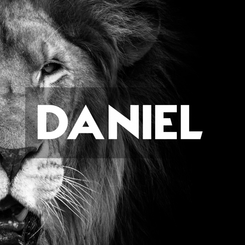 Daniel DESIGN SQUARE