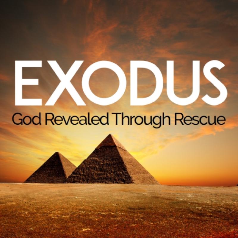 Exodus Graphic SQUARE#
