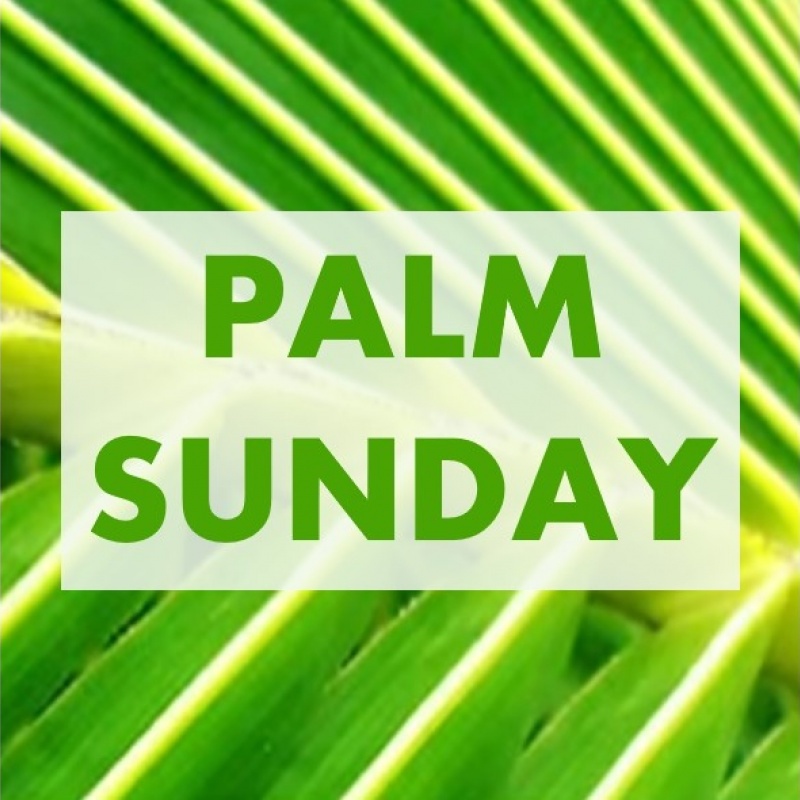 PALM SUNDAY sq