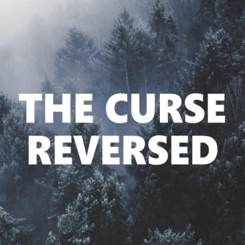 The Curse Reversed 2 SQUARE mini