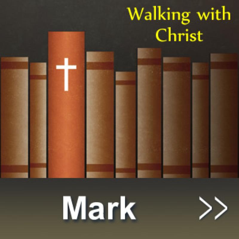 mark